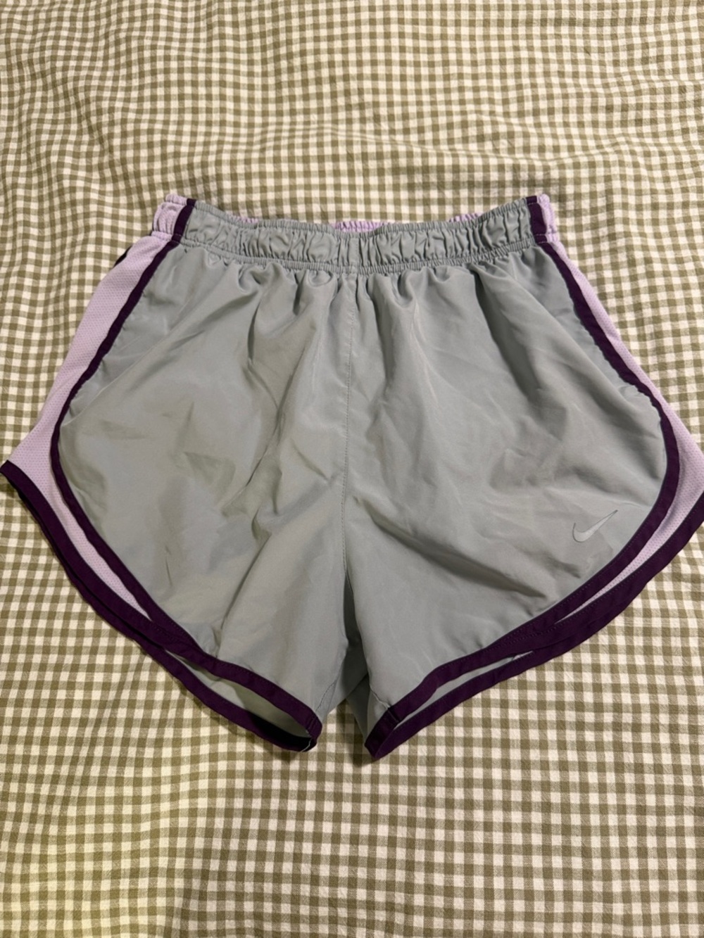 Nike Women’s Light Gray and Purple Athletic Dri-FIT Shorts